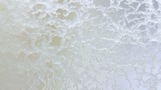 What Are Microworms? The Perfect Next Step in Feeding Growing Fish Fry