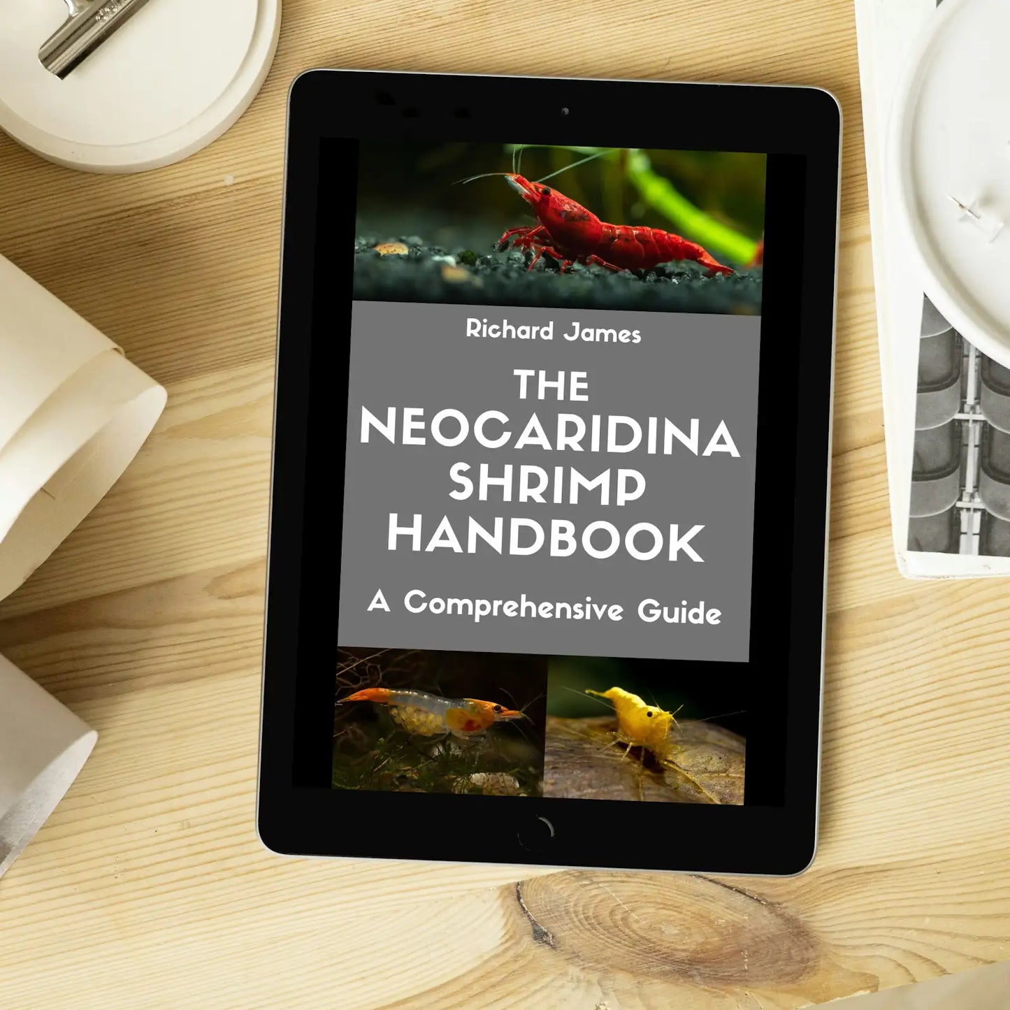 The Neocaridina Shrimp Handbook - Digital Download