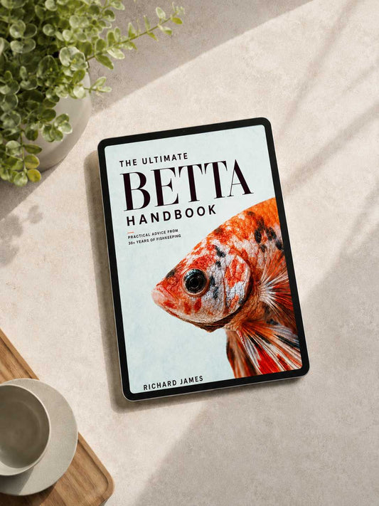 The Ultimate Betta Handbook - 22 Page FREE Sample