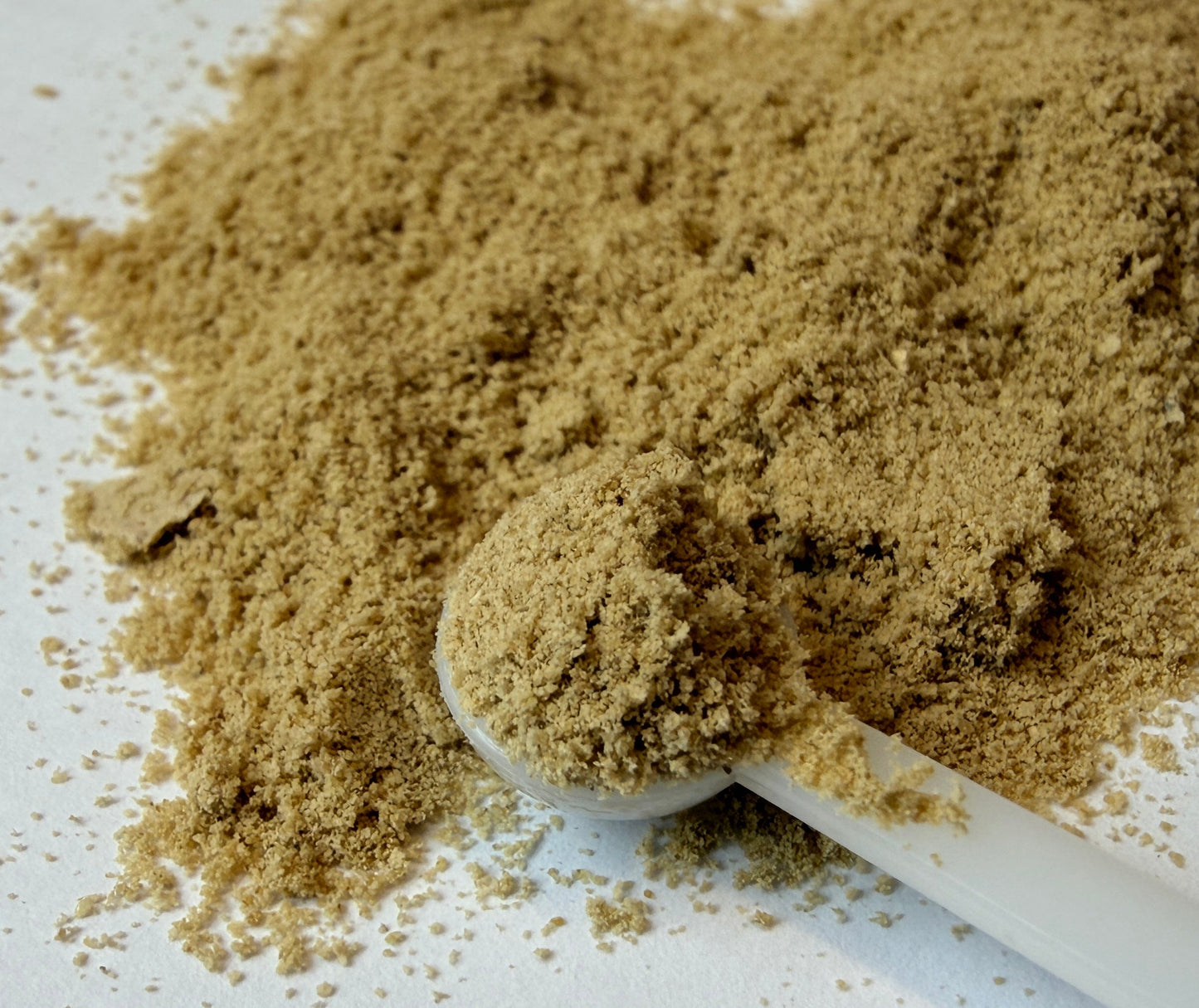 Protein Punch Growth Formula (High Protein Powder)