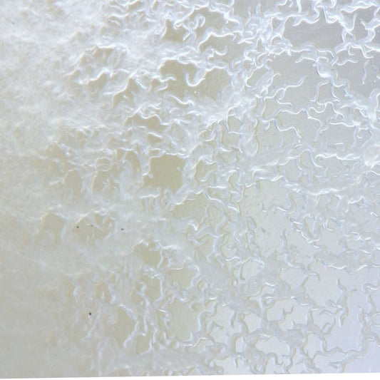 Live Microworm Culture